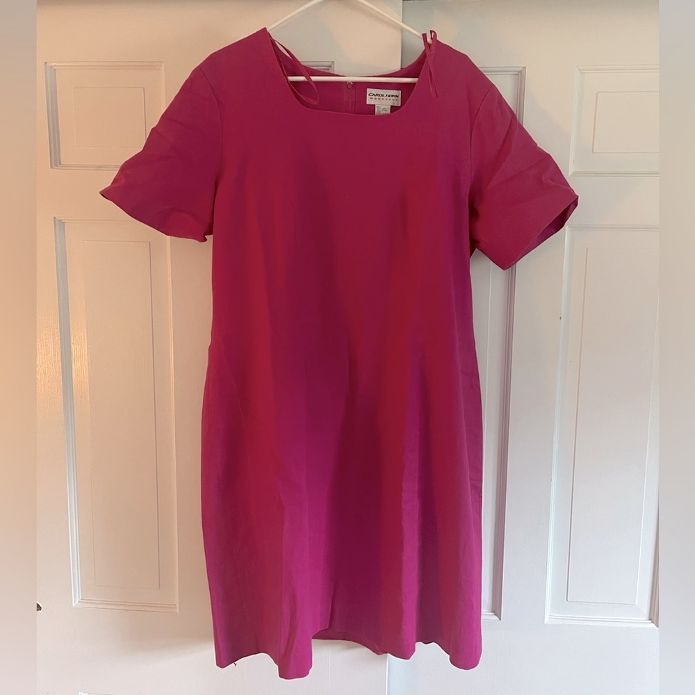 Pink Carol Horn dress in size 18W